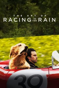 Nonton The Art of Racing in the Rain
